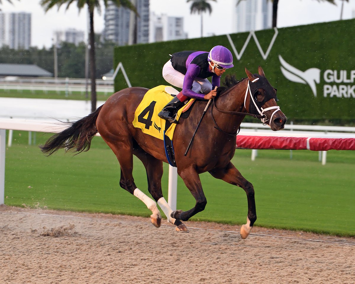 Gulfstream Park tweet media