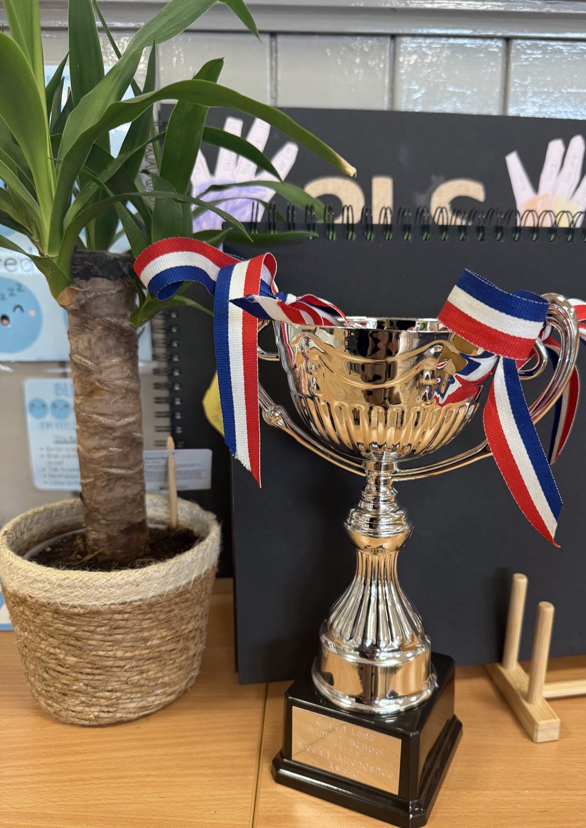 100% attendance all week… buzzing with excitement in the classroom when they’re all marked present on a morning register🏆
