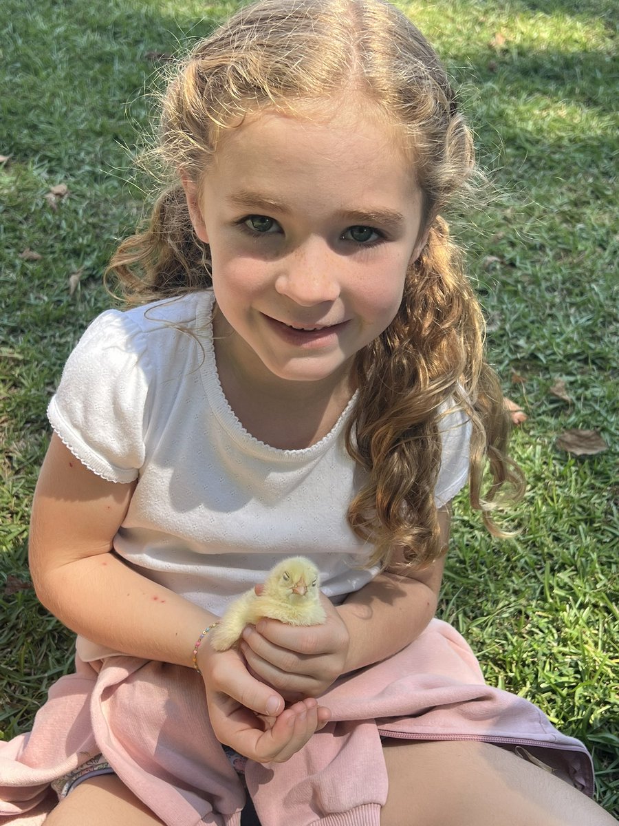 Ms. Trammell, M.Ed. tweet media