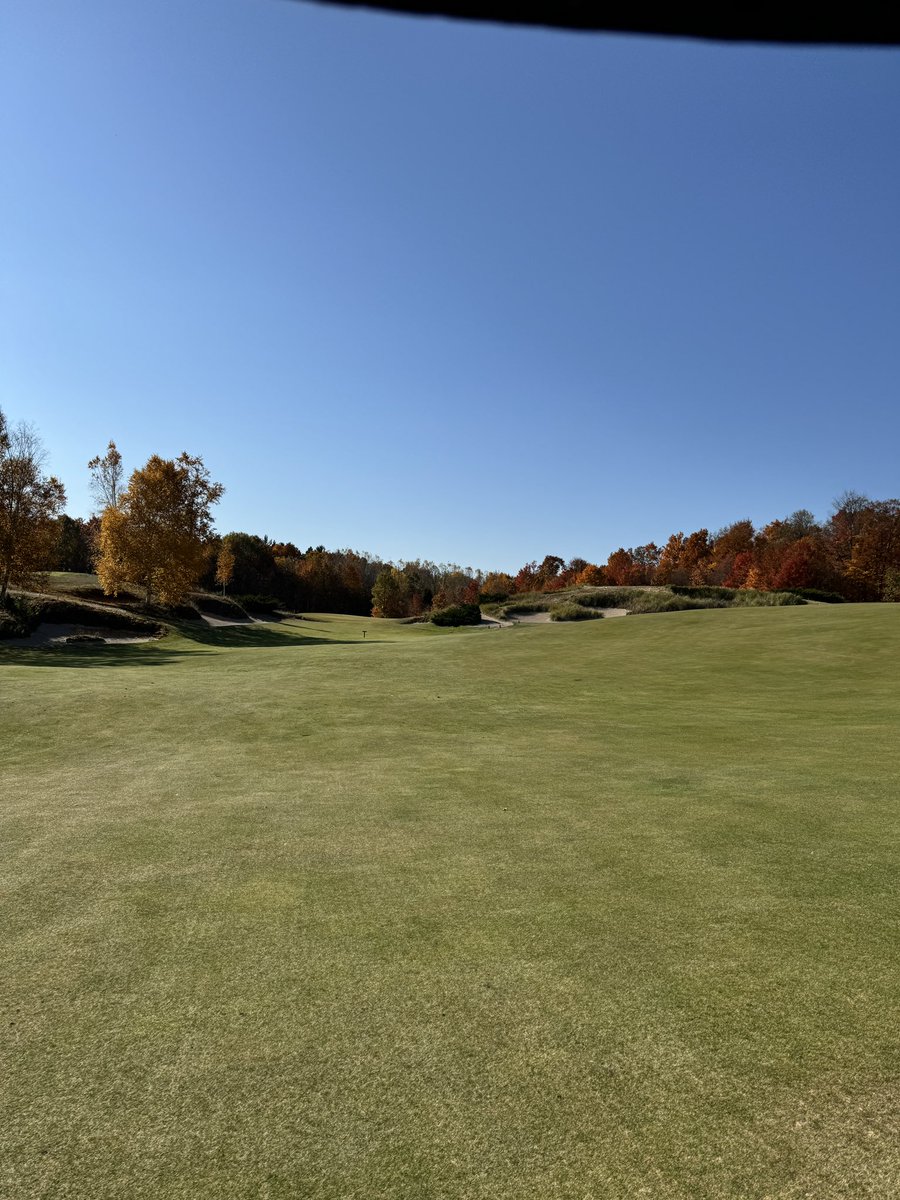 Dr. King Schultz 🦷 tweet media