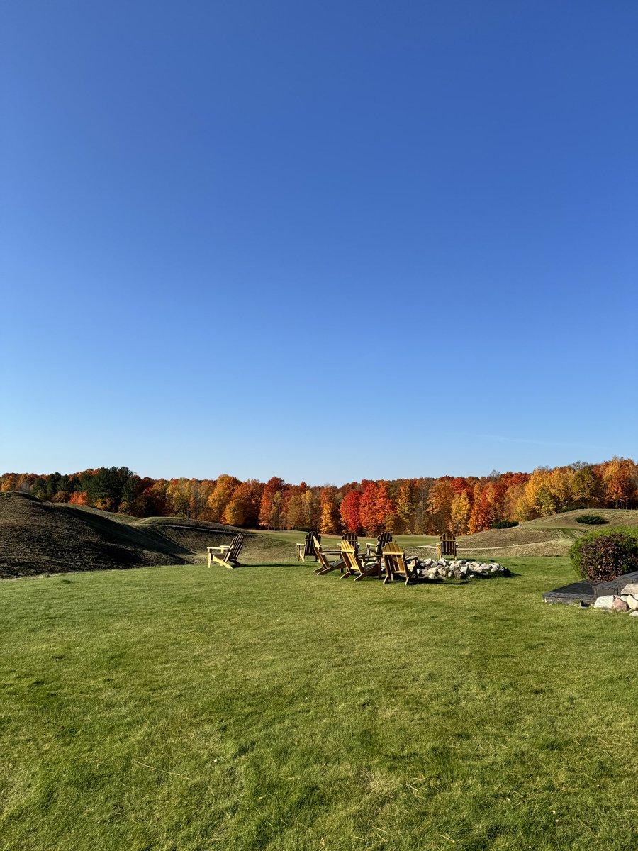 Dr. King Schultz 🦷 tweet media