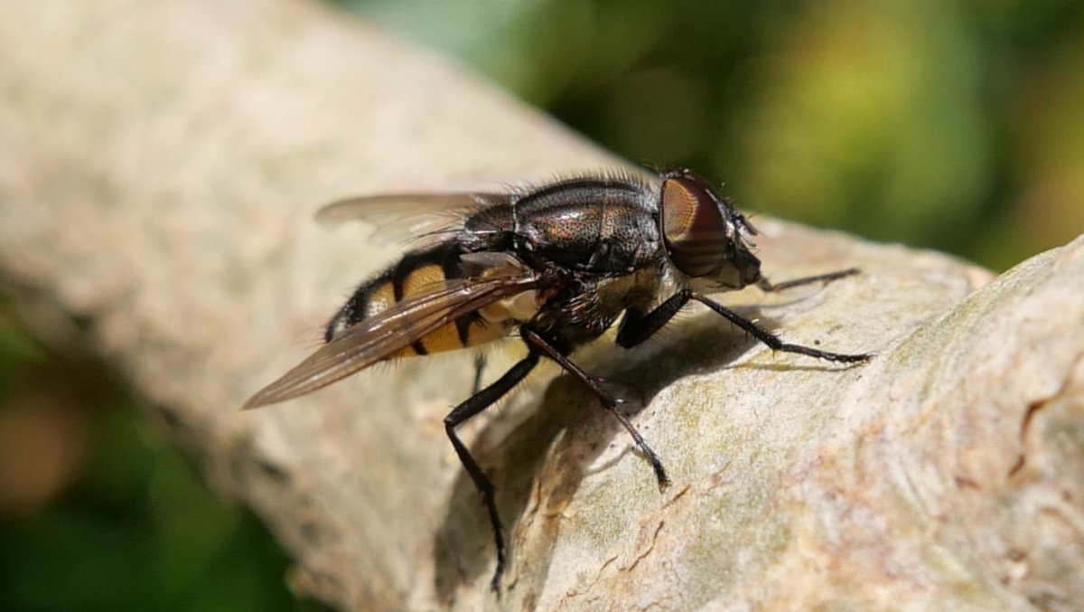 Simon Knott tweet media