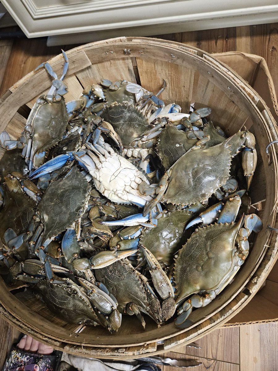 Got to love when I get an unexpected free delivery from my crab man .....yummy