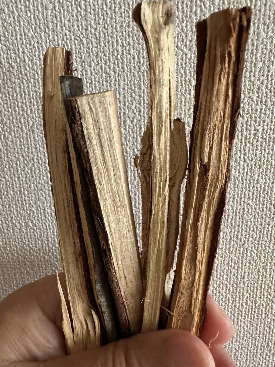 JalanPudu's tweet photo. 初なので失敗しても後悔のないよう、1番安いのを選んだ🪾#くび木
揉み洗いしヤカンに入れ、約1ℓの水で沸騰せんよう軽〜く沸かす事数分、さらに寝かせる事10数分。ほうじ茶のように色付き味もほうじ茶に近く、朝の一杯を美味しく頂く。
但し不揃いの🪾は🫖パックに入りきらず後の回収に難あり。 https://t.co/2iIZjqFmxD