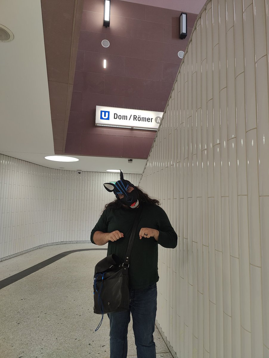 It seems Frankfurt agrees. I am a Dom. Totally doesn't mean something else in German, no need to look it up... #PupAllTheStations. <a href="/CondorBriarpup/">Condor Briarpup 🇬🇧</a>