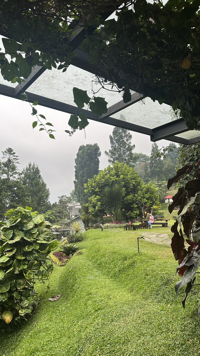 _ru2n's tweet photo. Puncak 🇮🇩 https://t.co/Qm8lvHDEW9