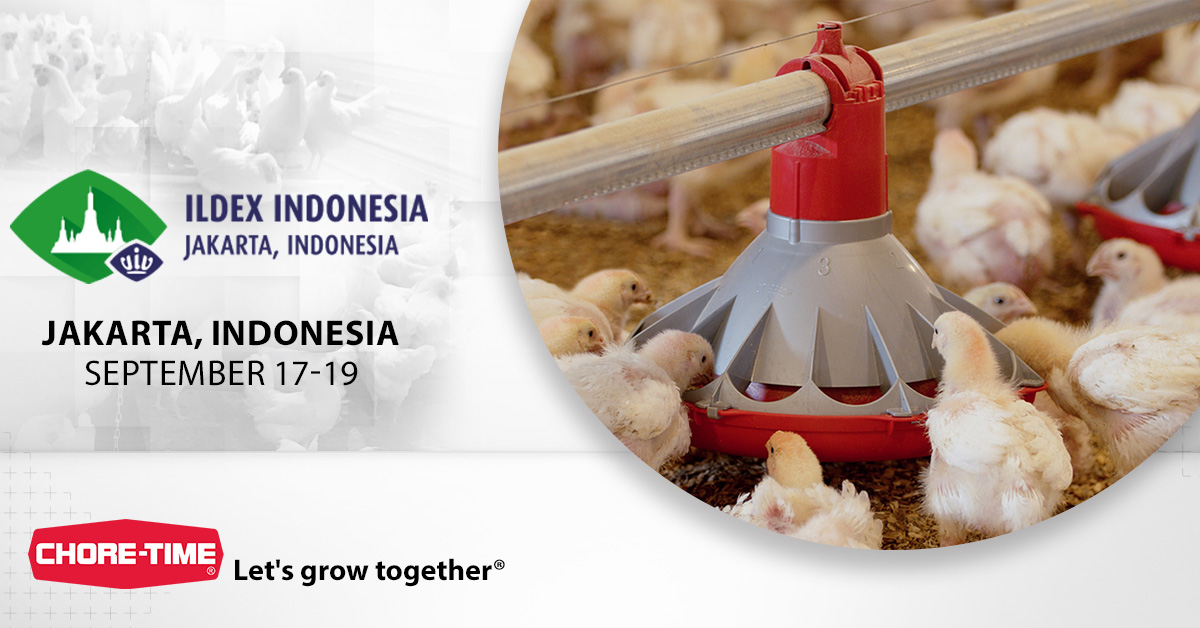 choretime's tweet image. Chore-Time is coming to ILDEX Indonesia 2025!
📅 September 17-19
📍 Jakarta, Indonesia

Stop by our booth to meet with experts and learn how Chore-Time’s sustainable solutions can support your poultry operation.
.
.
.
#ChoreTime #ILDEXIndonesia2025 #PoultrySolutions