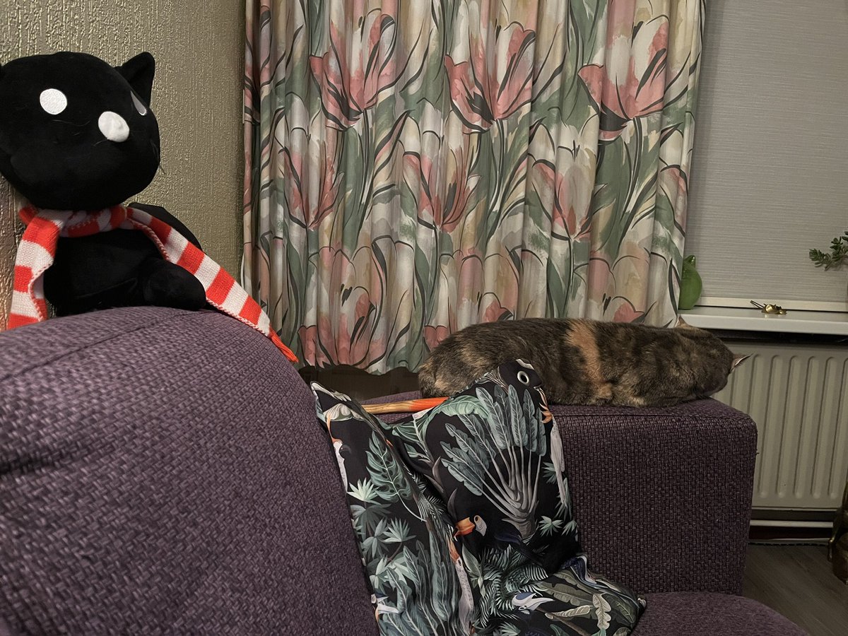 kijkert dan de narcose hamer 🔨 liggert bij dinnie 🙀🙀aiii die sal se tog niet gebruikt hebbe, 😹😹 eggies niet hoor 😽mare wei segge trustels en morgengezondweerop ✨💤💤 💜