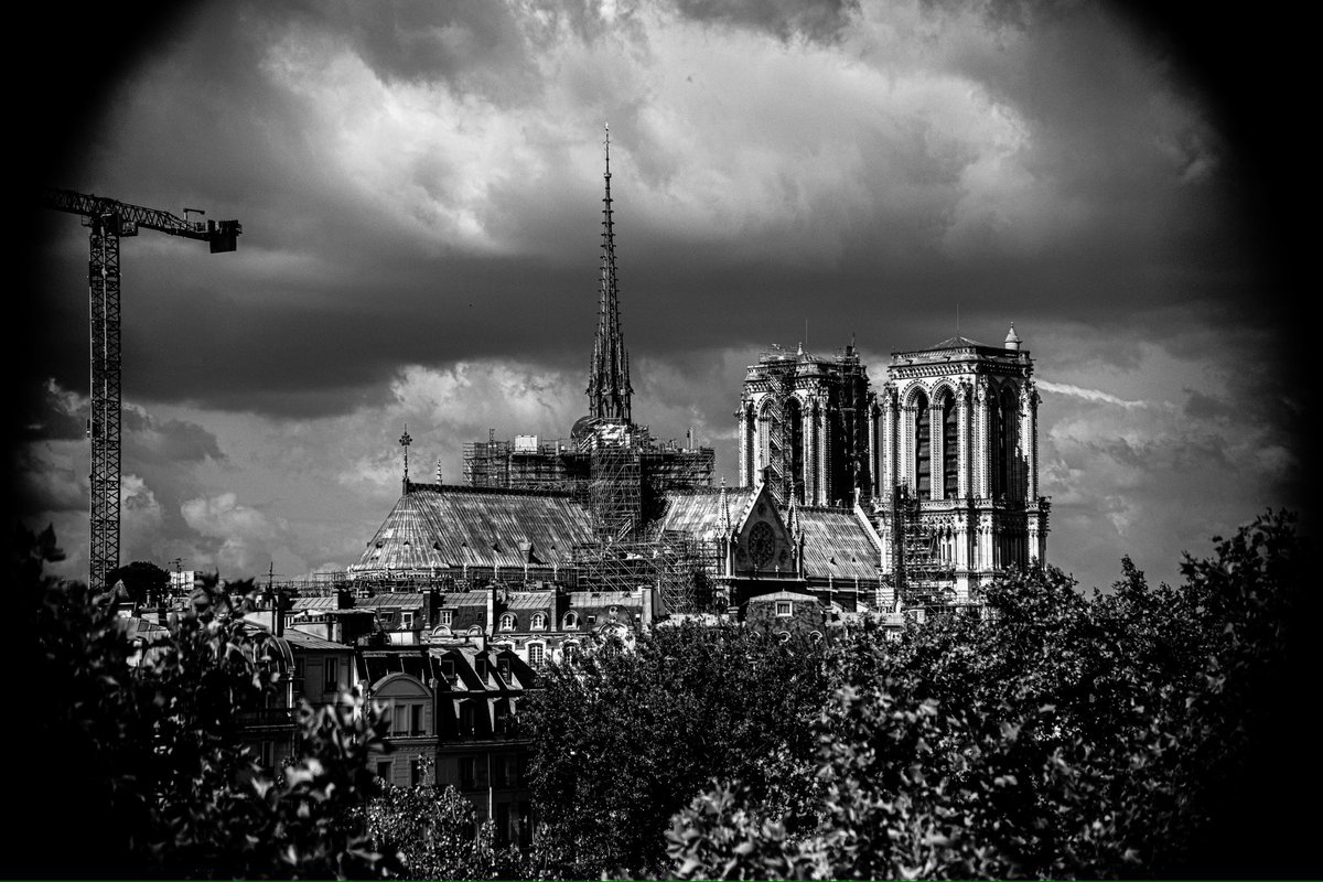 Martin_Lukongo's tweet photo. | #france | #pourtoii #reaction #pourtoi #tiktok #paris @ParisMaVille_ https://t.co/LaxQkpOFIU