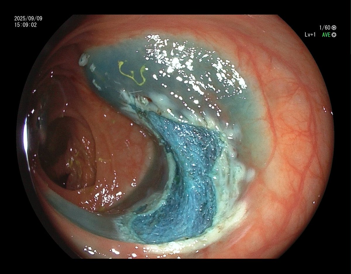 Aleksandar Gavric tweet media