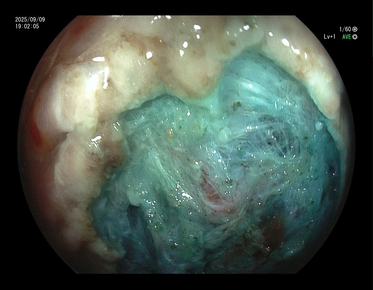 Aleksandar Gavric tweet media