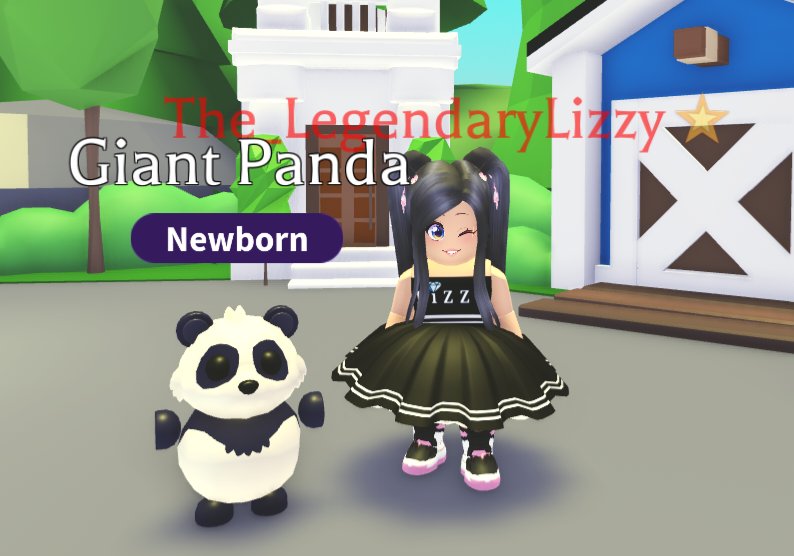 ✨️ Legendary Lizzy ✨️ tweet media