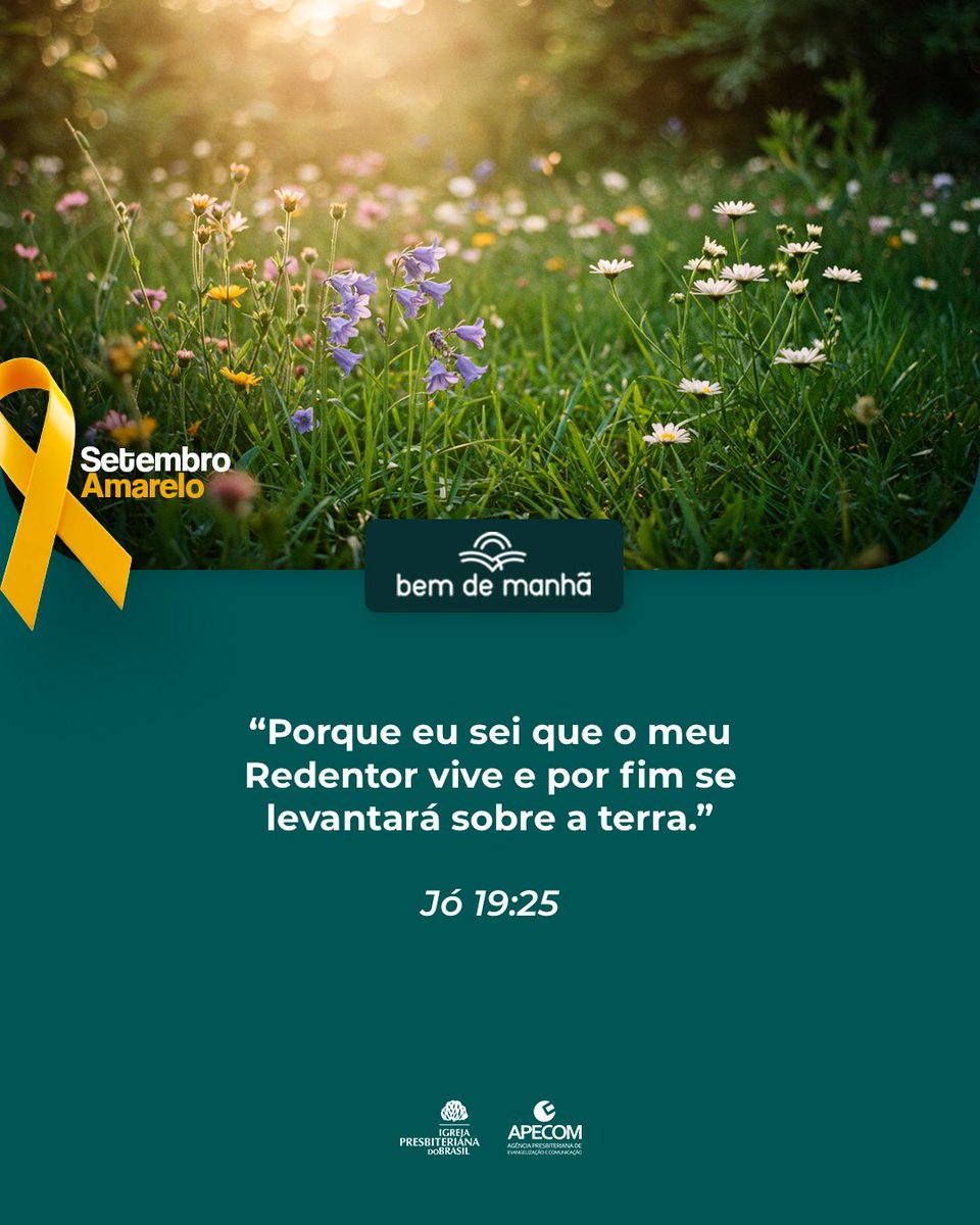 Bem de Manhã: Comece o dia meditando na sabedoria de Deus.

“Porque eu sei que o meu Redentor vive e por fim se levantará sobre a terra.”

Jó 19:25
