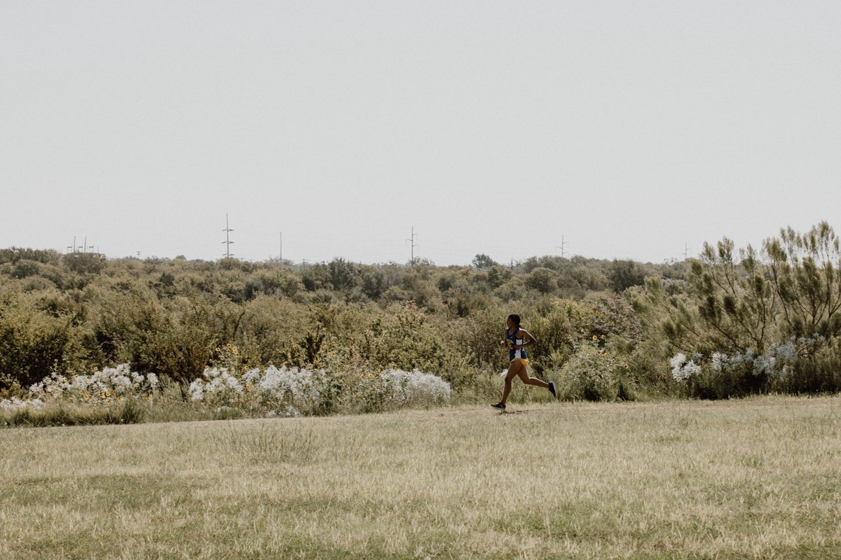 Measha Rhinehart tweet media