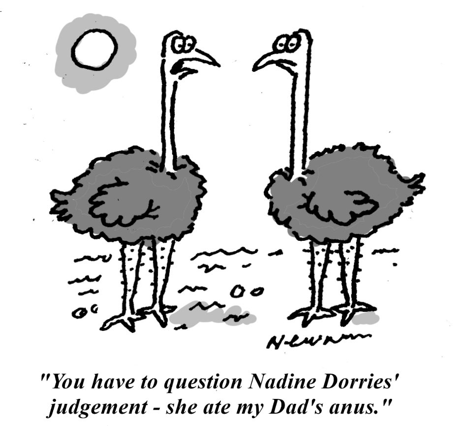 Ncknwmn's tweet image. My toon for ⁦@spectator⁩ #NadineDorries #Reform #Defection #OstrichAnus