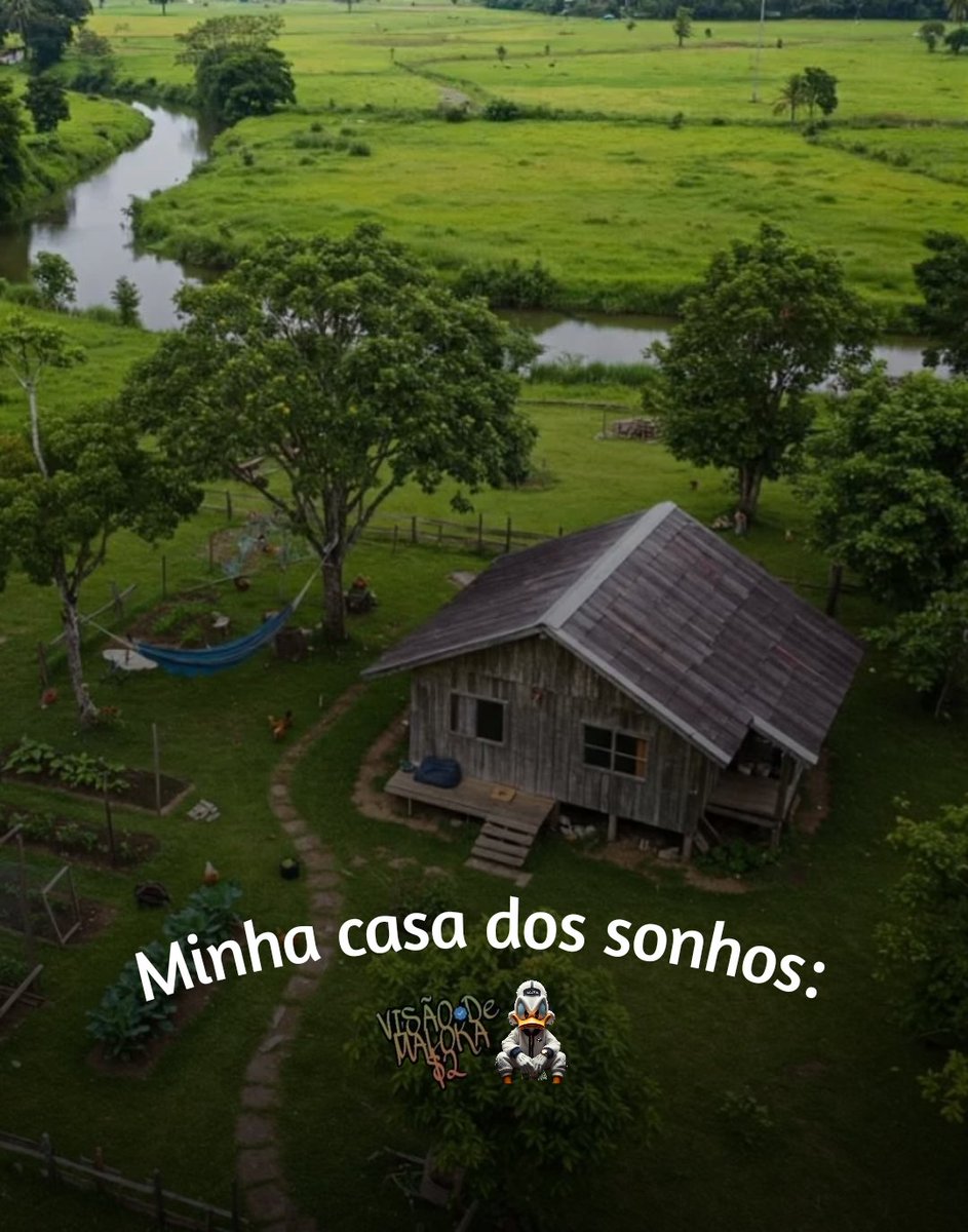 Visão Do Tio Patinhas 🇧🇷 tweet media