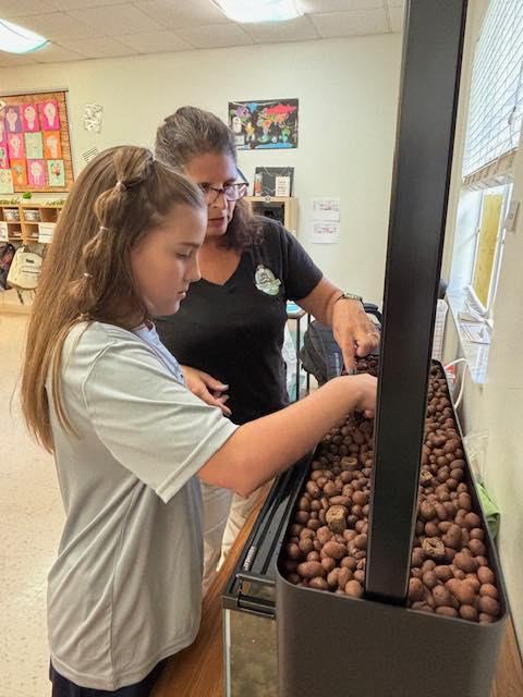 AquaSprouts tweet media