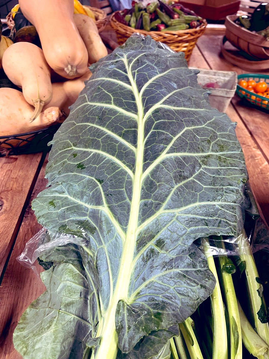 Collards always amaze me.