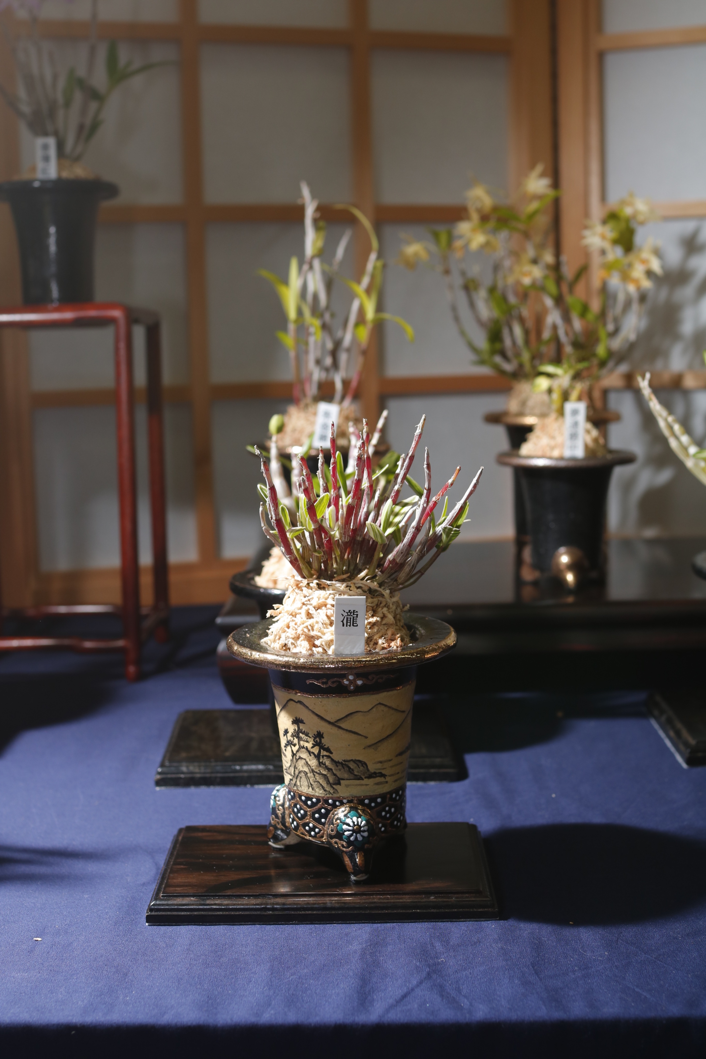園芸事典 農業および園芸 - 株式会社 養賢堂