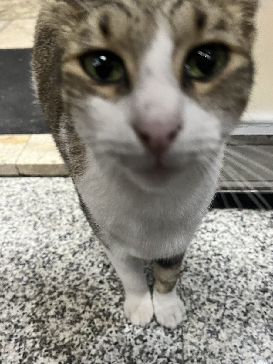 Aniden bahçeye spawn oldu peşime takıldı bırakmıyor