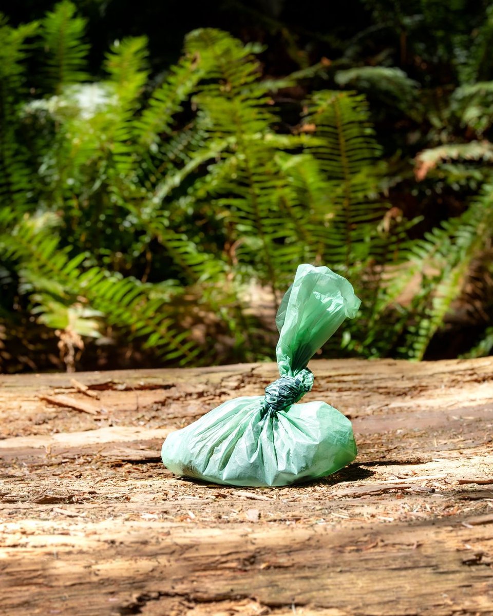 TheNextSummitA1's tweet image. What’s the biggest Leave No Trace issue you see on trails? 

#LeaveNoTrace #ColoradoTrails