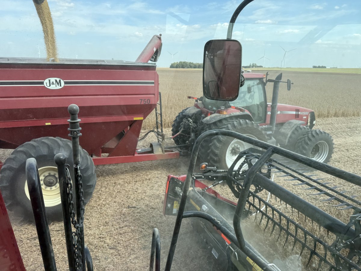 Cutting beans in McLean County!
