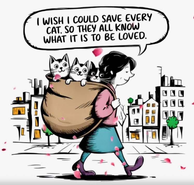 😸 Aunt Gwen sent this to me saying it’s me 😅