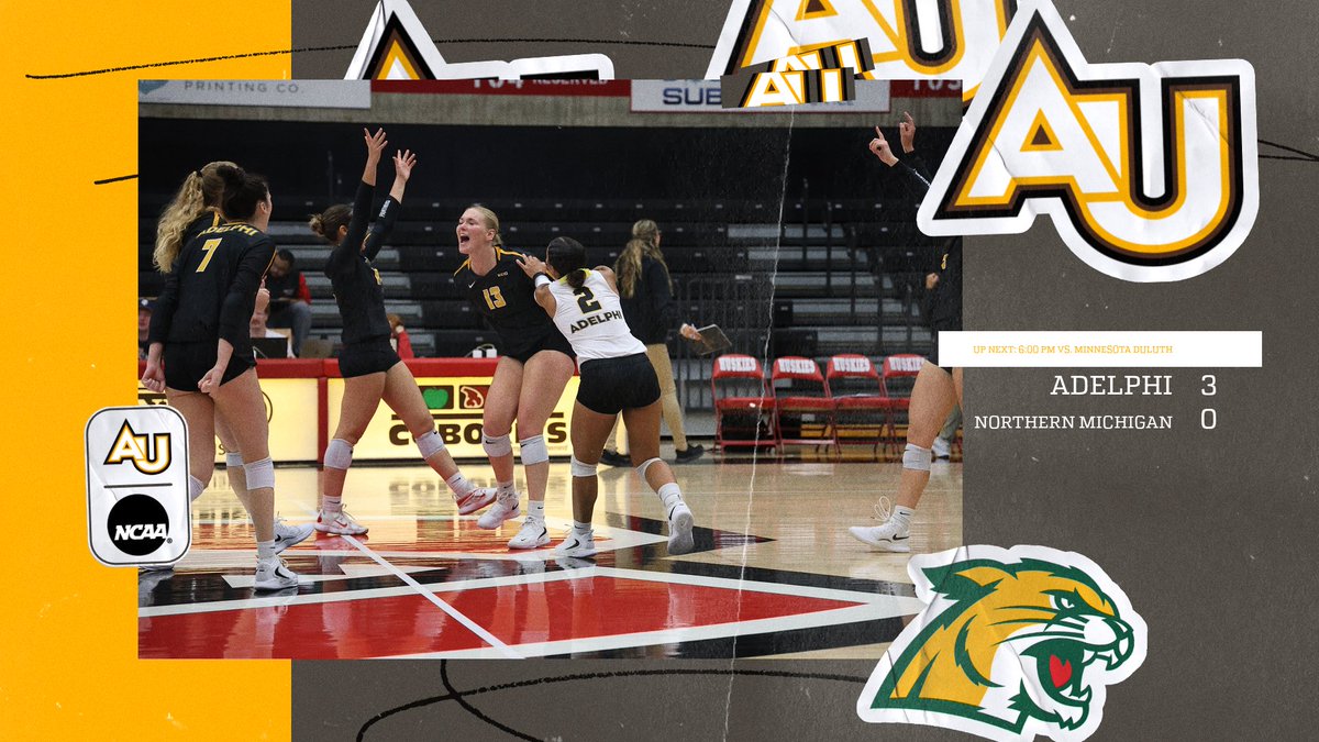 Adelphi Volleyball tweet media