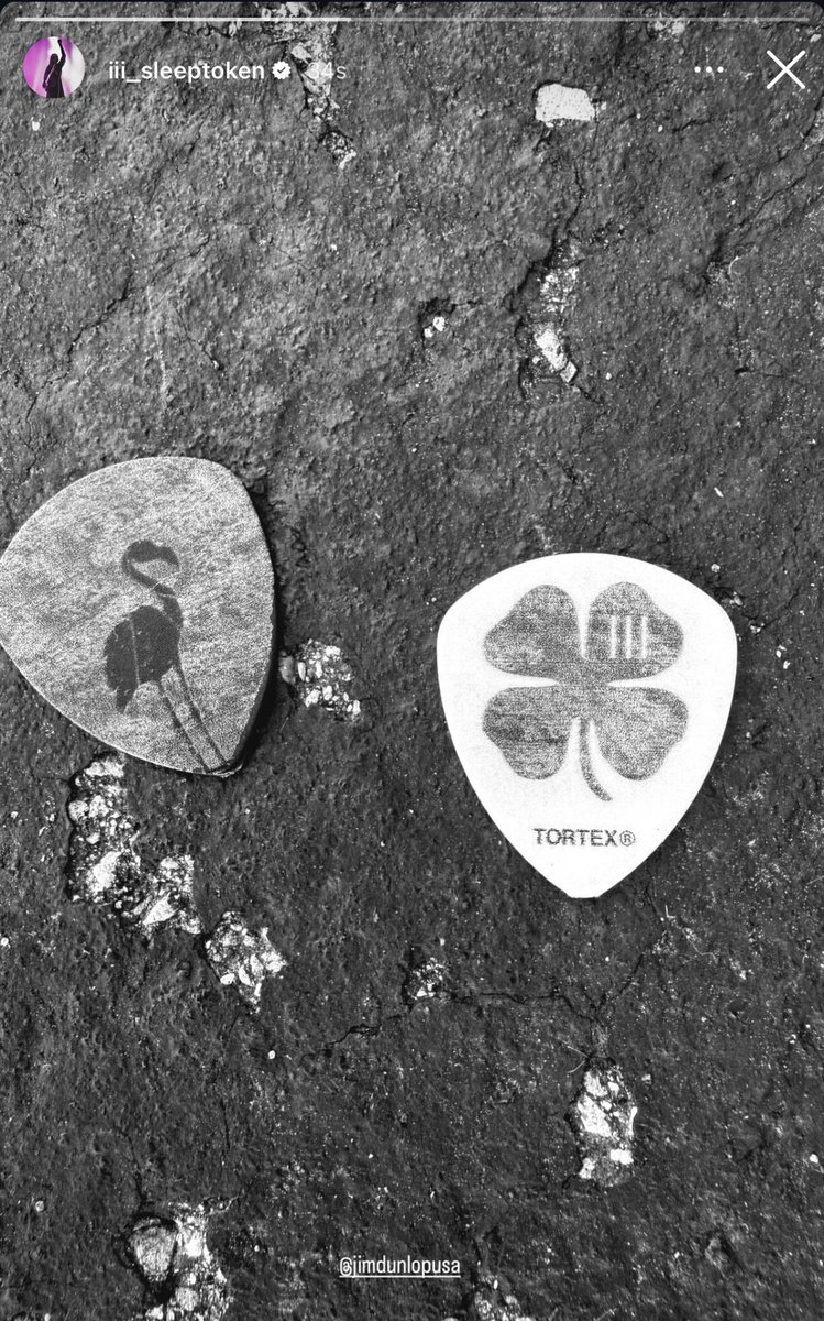 courtney 🪡 tweet media