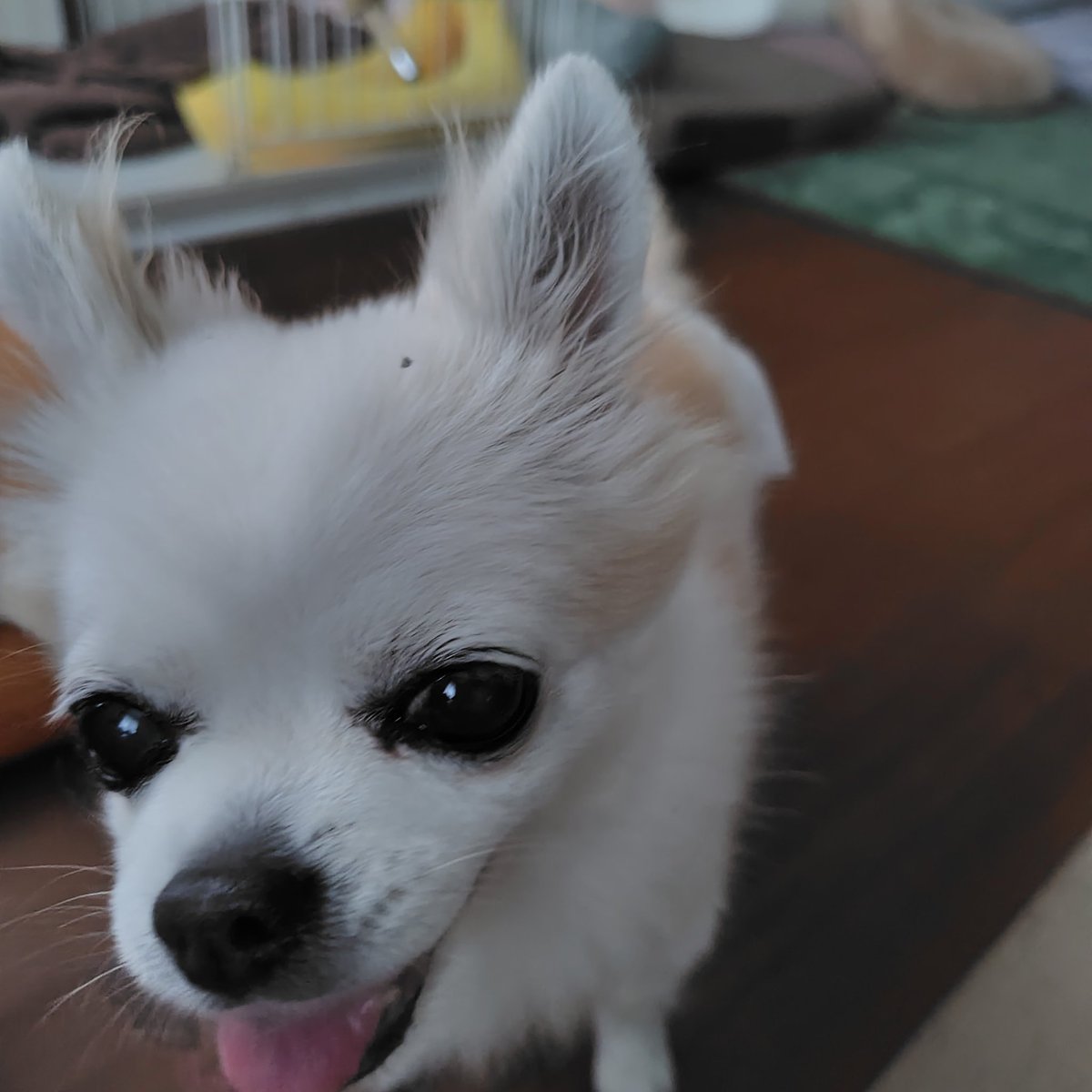 おはようございます
朝から元気です😆
今日ものんびりと宜しくお願いします