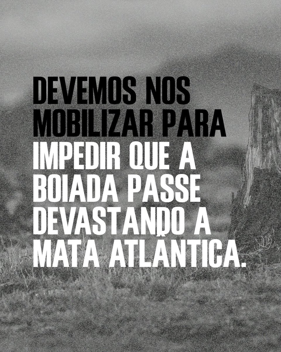 sosma's tweet image. O Congresso pode votar a qualquer momento os vetos do Presidente Lula a lei geral do licenciamento ambiental e ressuscitar o PL da Devastação (PL 2159/2021), da Mata Atlântica, da Amazônia, de todos os biomas, da nossa biodiversidade, e até mesmo das nossas vidas.

Não podemos…