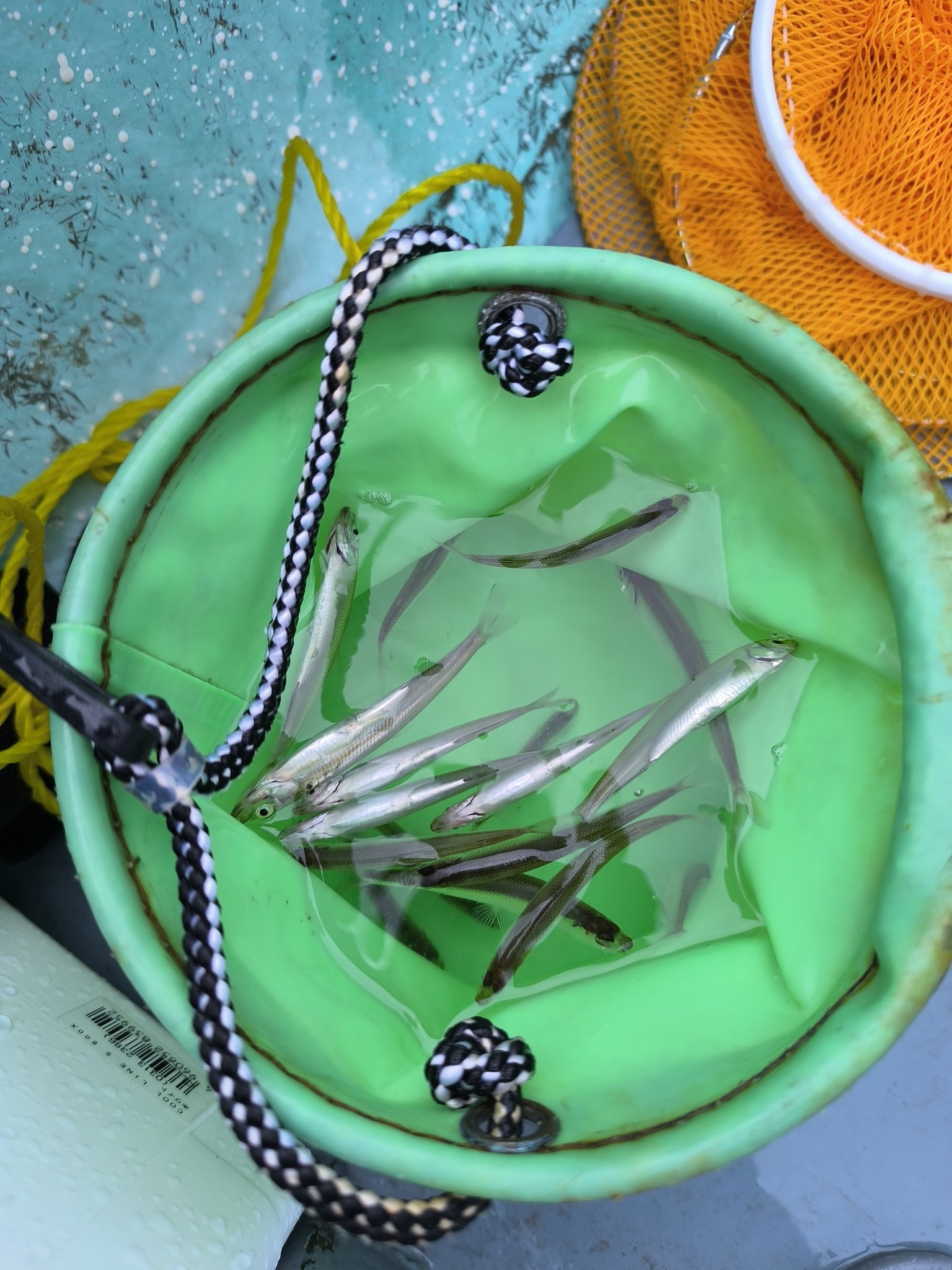 Zu2ki@M3 B24-a on X: 