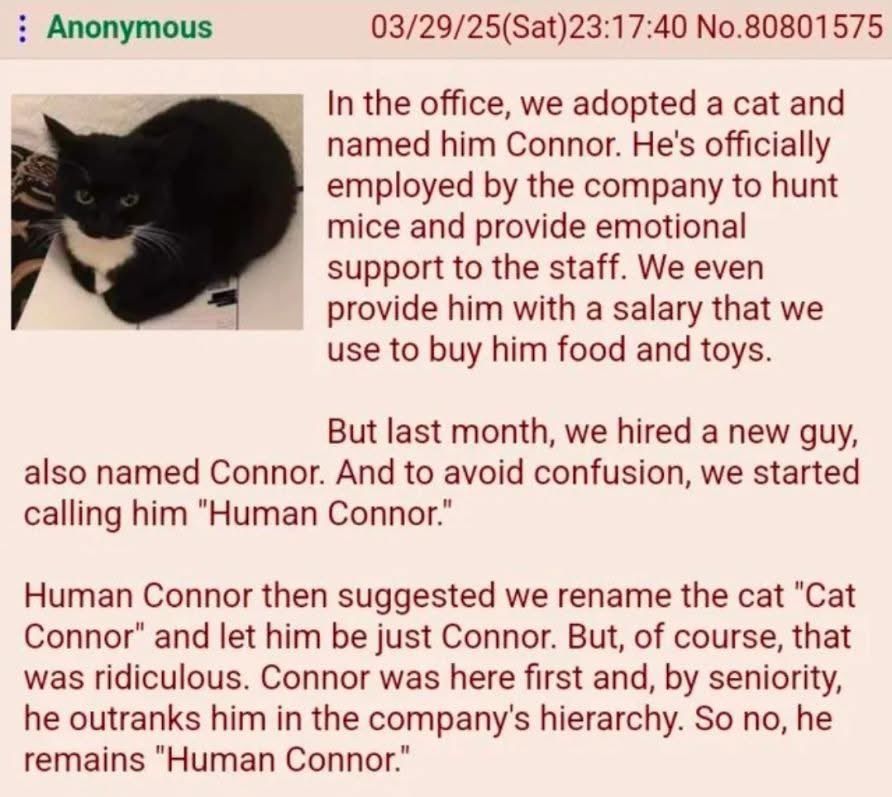 CatWorkers's tweet image. 