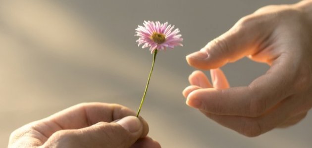 ArabicBest's tweet photo. خالد المنيف: العطاء المبالغ فيه يأكل من روحك كل يوم حتى لا يبقى لك شيء. من أحبك حقًا لا يريدك منهكًا ولا ذائبًا،. أعط بقدر، واحتفظ لنفسك بحقها، فالتوازن هو الذي يجعل الحب يدوم والعلاقات تزدهر. https://t.co/cWNSkyw06z