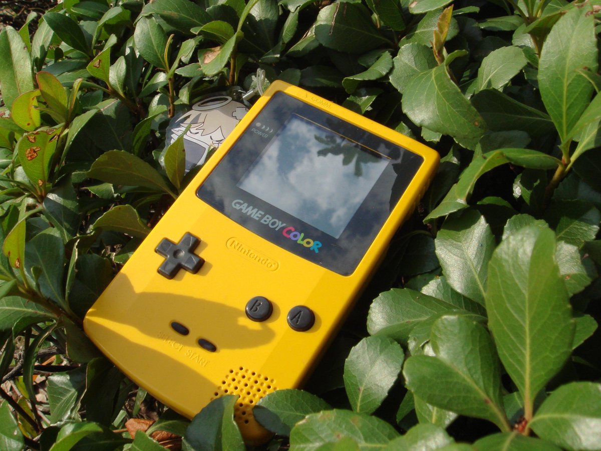 haelPC's tweet image. childhood gameboy color