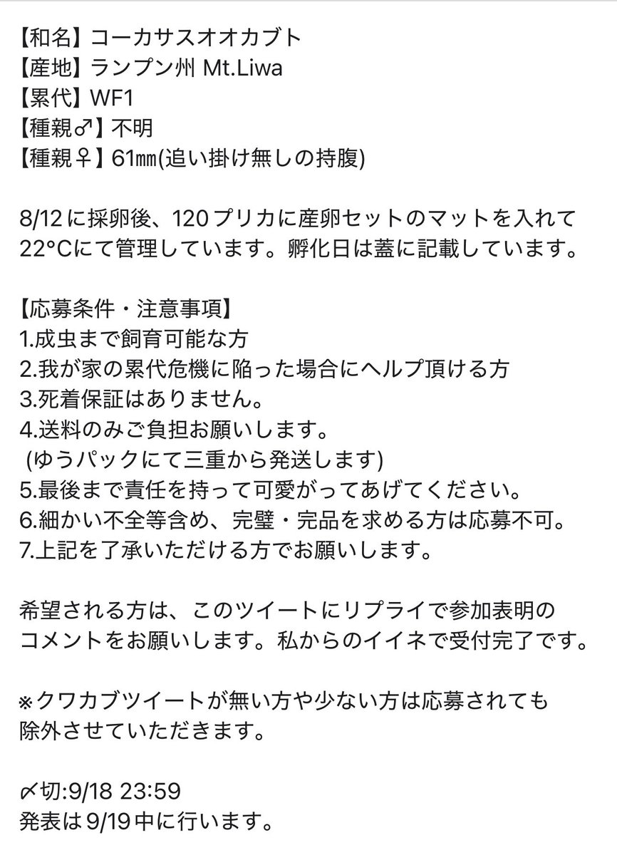 sesiriasama's tweet image. スマトラコーカサス(Mt.Liwa)
初令幼虫5頭(WF1)
いざというときに助けて貰えるように
里親さん募集したいと思います。

親は6月にアリストさんより購入のWDペア
追い掛け無しの持腹産卵個体になります。

希望される方は、このツイートにリプライで参加表明のコメントをお願いします。
9/18 23:59〆切