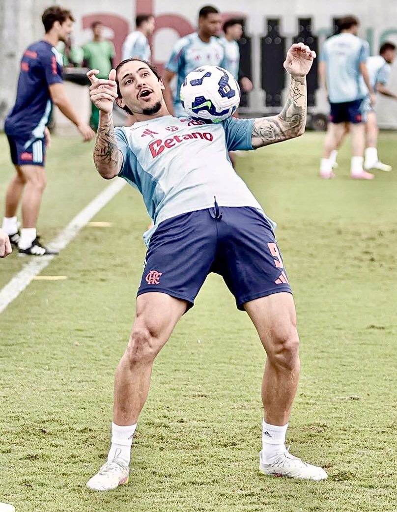 futebolcrush's tweet photo. Pedro Guilherme

Esse sabe atiçar… 🔥 https://t.co/51QDGxx6TT