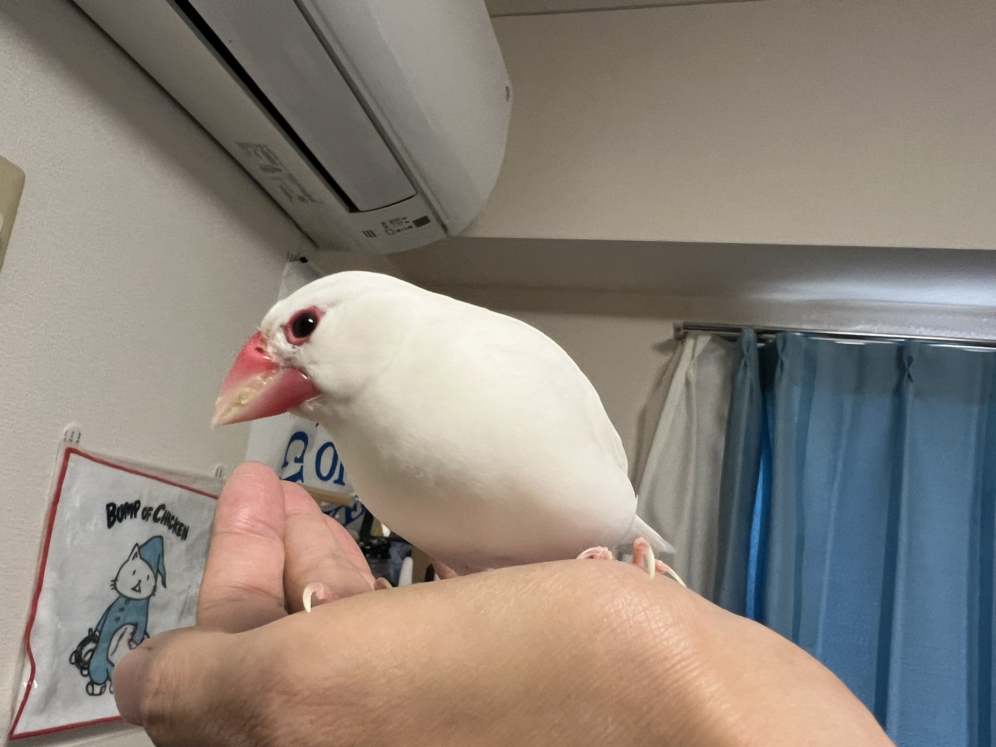 もち (@nohoho0326) / X