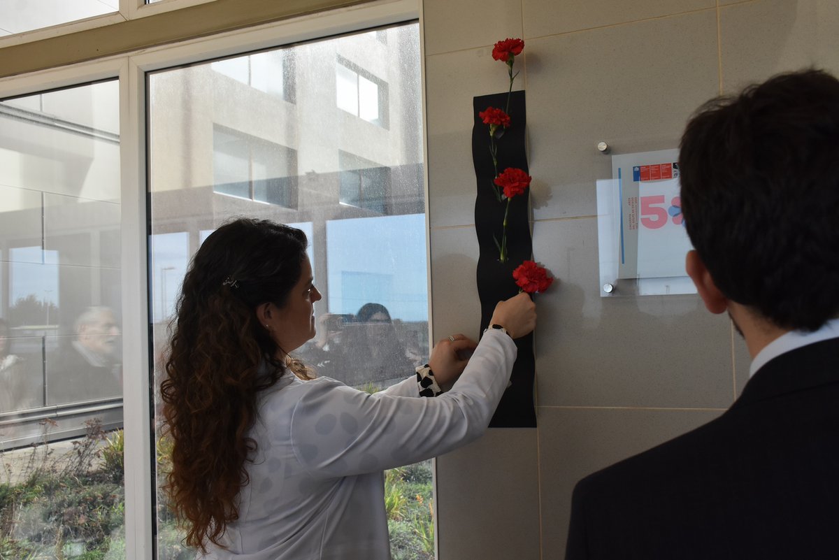 SEREMI de Salud Magallanes tweet media