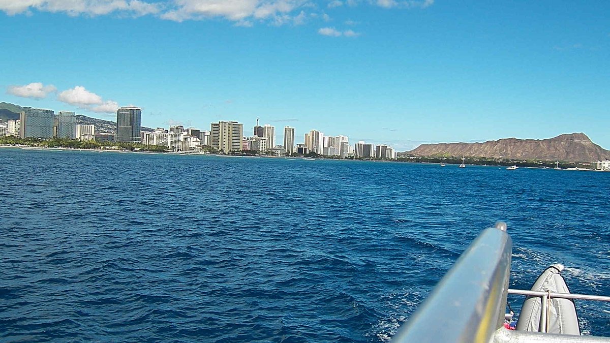 Joshua Pasenelli tweet media