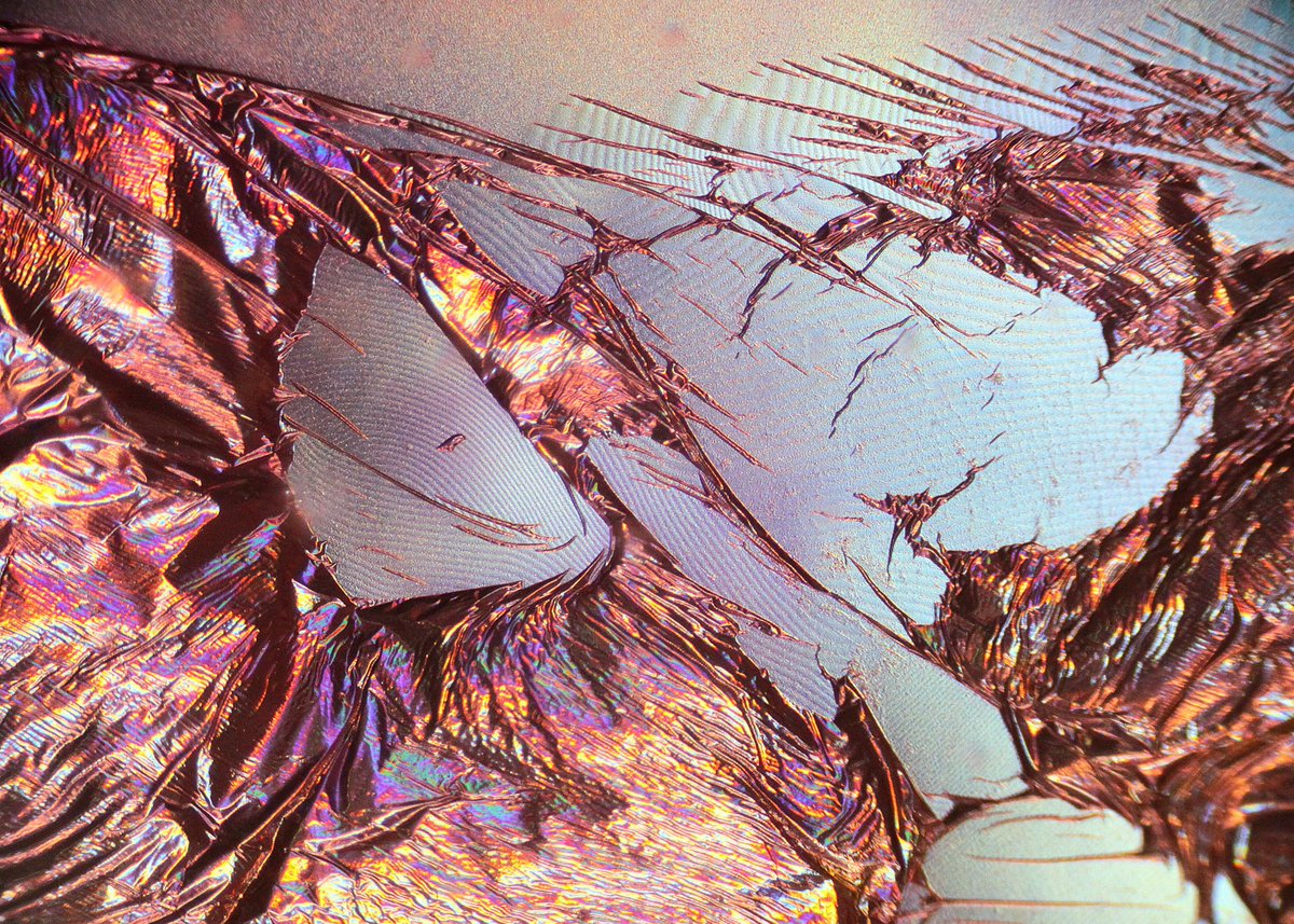NazliShahvagh's tweet photo. Changes in the states of Asteroid N90 after the war
2024
#noai #nocgi #bioart #newmediaart #contemporaryart #surreal #space #cosmos #nature #artscience #chemistry #expriment #microscopicworld #microuniverse #biologicalart #microscopyart #nazlishahvagh https://t.co/xJsAHvI2qx