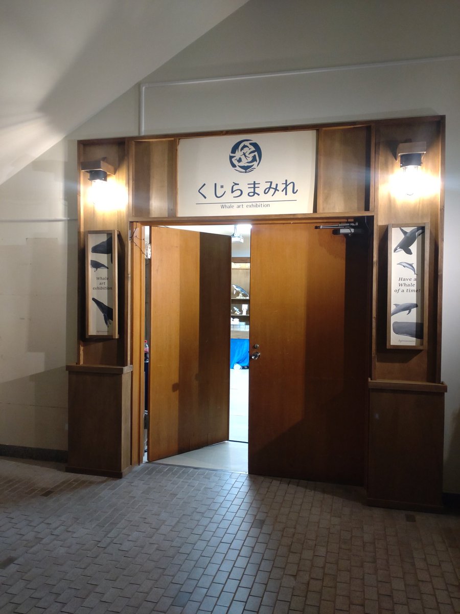 【くじらまみれ本日より開催！📣✨】
＃くじらまみれ2025　#くじらの博物館
くじらまみれ🐳が本日より開催となります🎉今回は過去最大となる総勢21組の作家さんが大集合😆素敵な作品がたくさん皆さんをお待ちしています🐬15日までなので、お目当てがある方は早めのご来館を‼️
kujirakan.jp/news/1376/