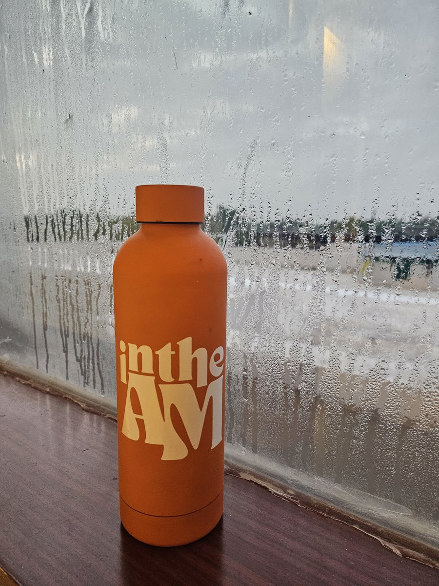 Anu12021's tweet image. wherever i go this waterbottle follows! my forever partner 🧡

#intheAM