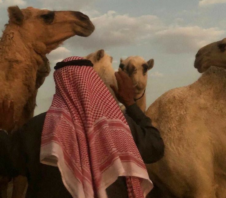 تبسم وَ أبذل المعروف دومًا 
وكُن سمحًا بما فيه الكفاية ، 

جمال الشكلِ مطلوب ولكن!
جَمالُ الروح أولى بالعنايـة.