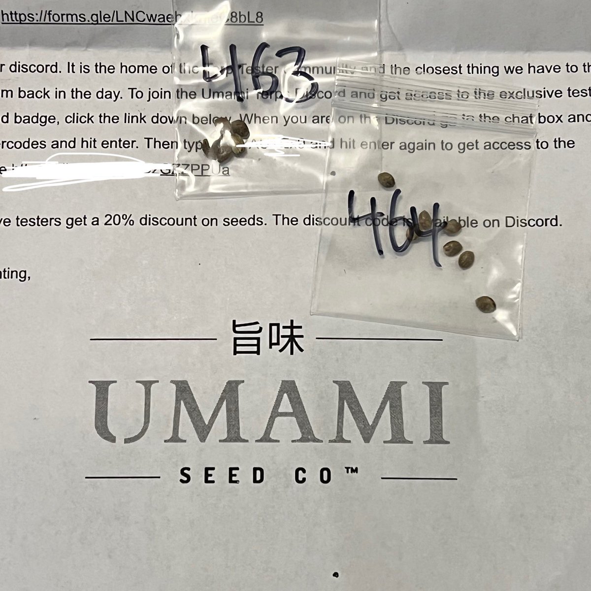 SIK3_one's tweet image. Testers have begun germinating 

#testers #umami #thehunt