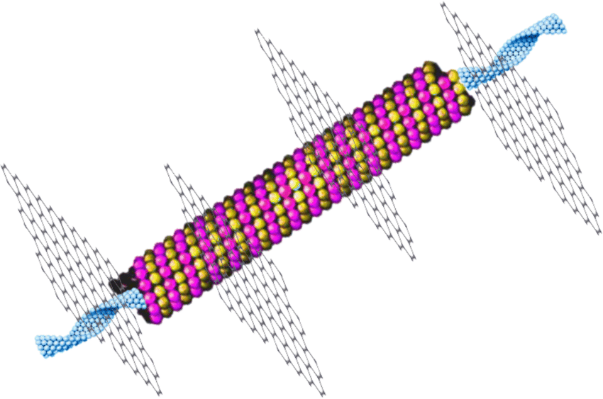 TheProjectUnity's tweet photo. Typically Quantum Coherence/Stabilised Superposition can only be achieved at incredibly low temperatures, far lower than the human body. 

However, I think 'Ordered Water', a structured, crystalline-like phase of water that forms in layers next to hydrophilic surfaces, behaving very differently from bulk liquid water, which is found inside the microtubules in our neuronal network, might be responsible for enabling stabilised quantum-coherence within an otherwise wet, warm, noisy biological system where coherence decays rapidly due to these properties. 

Ordered water in and around microtubules could create a comparatively insulated, mode-selected environment that nudges coherence times upward, enough to matter biologically if coupled to collective excitations.

Stabilised Quantum-Coherent states translate to "higher states of consciousness", this is where we receive "intuitive downloads" because in a quantum coherent state of consciousness your perception is plugging directly into the energetic foundations of reality which we can also say is comprised of information, we also call this the Unified Field in Physics or the Akashic Record in mysticism. 

It's the same thing, and these microtubules with their ordered water might actually be the finely tuned instrumentation within us that turns a human being into a Conscious Room Temperature Superconductor (C-RTSC)