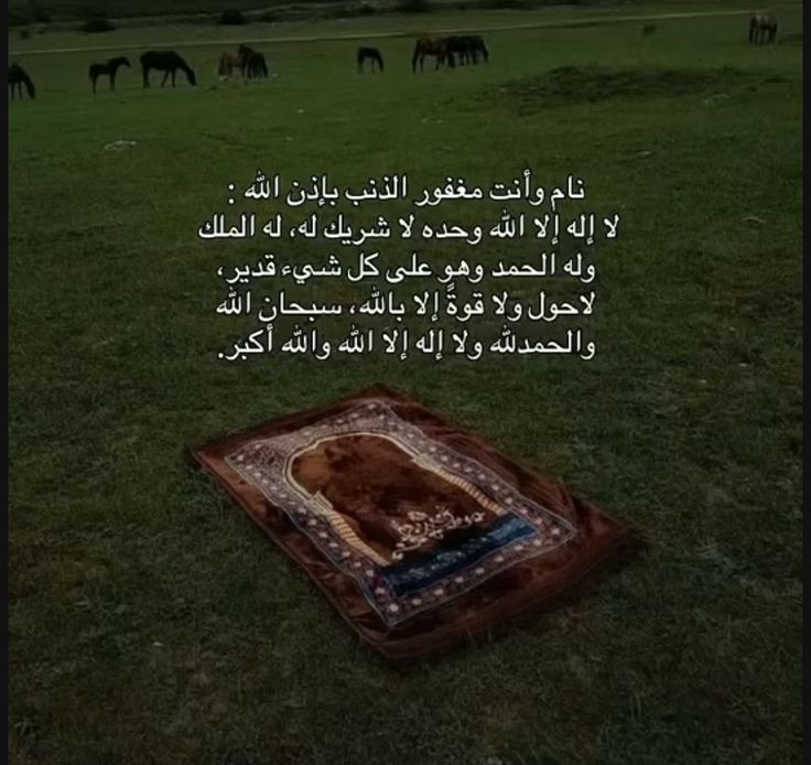 تاريخ وحضارة (@1il5i) on Twitter photo 