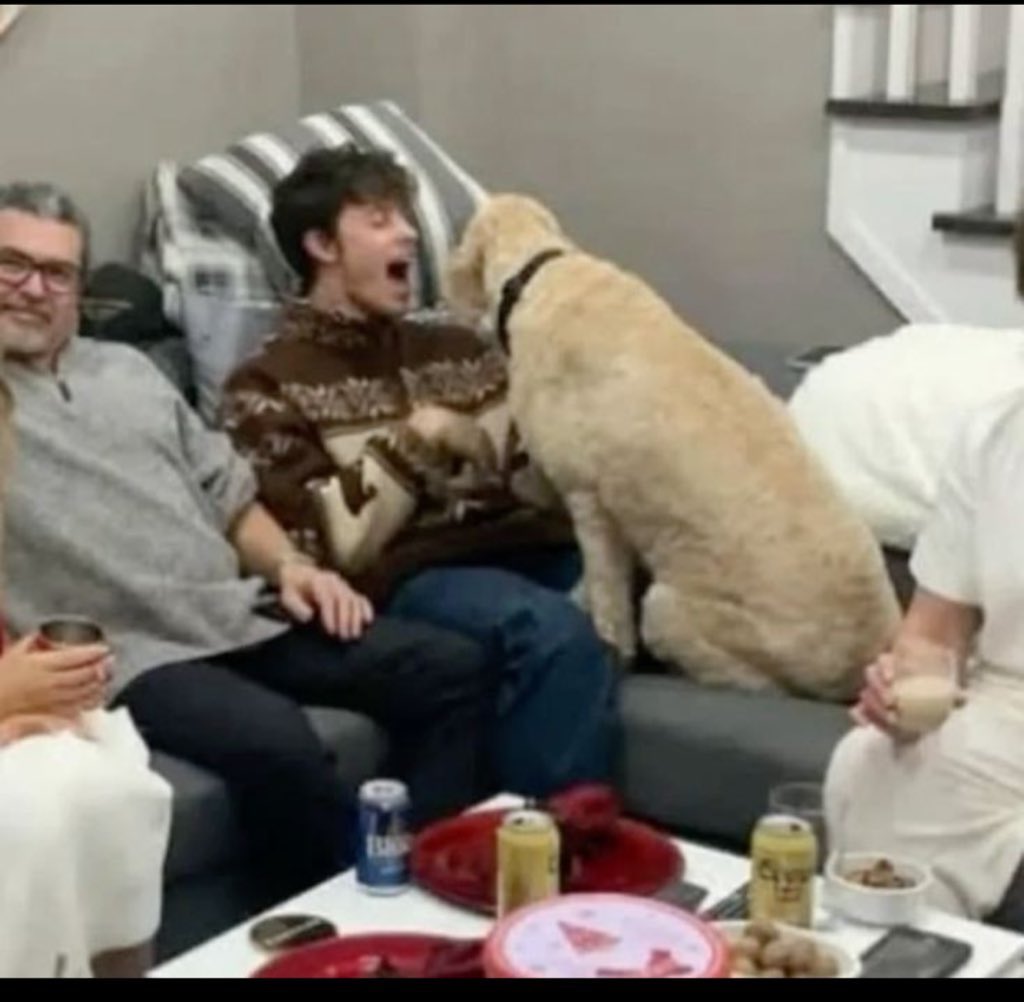 G0rfsqZXMAAuNvG?format=jpg&name=medium Shawn Mendes Melts Hearts in Adorable Throwback Photo as Fans Obsess Over His Playful Paw Pose