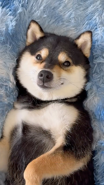 Good evening. Let's continue with nice growing and weekend is almost here. Woof $MANYU

<a href="/RealManyu/">Manyu Community</a> always bulding with the community.