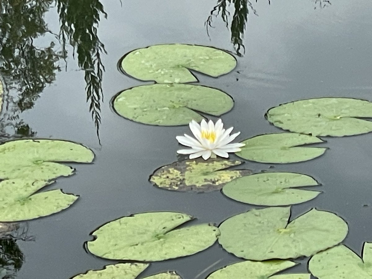 yuyuです！ yuyu様確認ページ